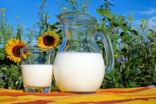 Using fresh milk is the key to making an excellent cup of milk tea