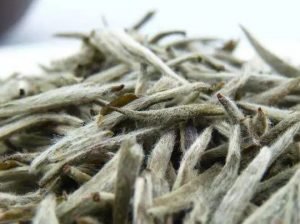 The-fuzz-on-white-tea-can-improve-quality