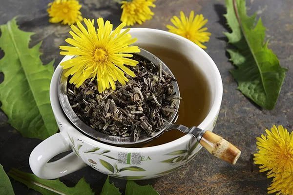 Dandelion tea has great benefits but tastes a bit bitter