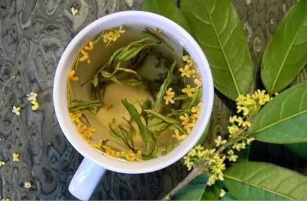 Osmanthus Green Tea