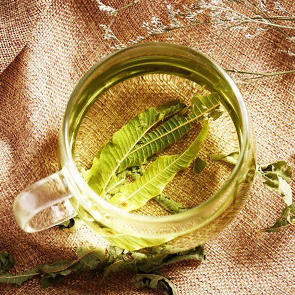 The lemon verbena tea after brewed is light green