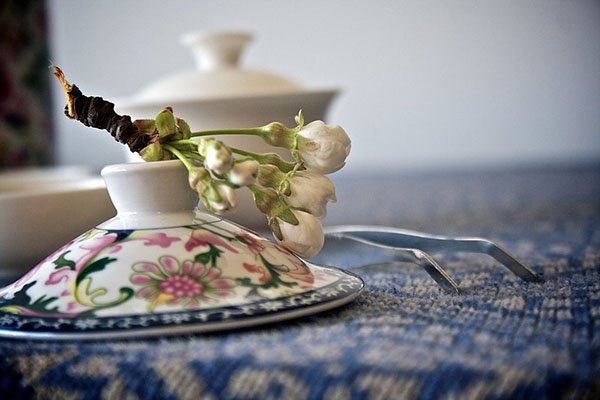 The lid of the Gaiwan