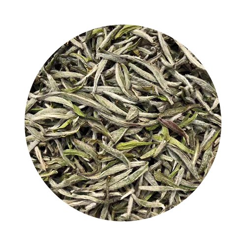 White Tea