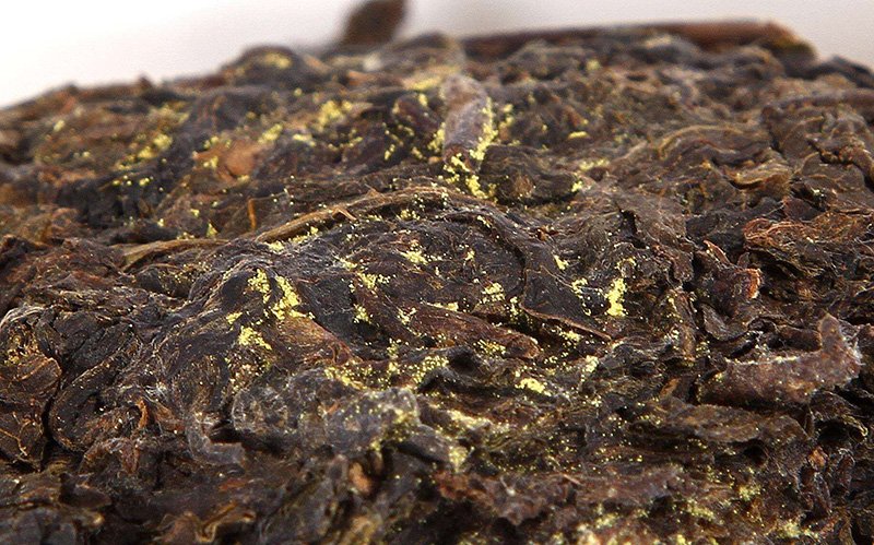 Golden Flower is a unique microorganism of Fu Zhuan tea only