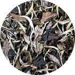 Moonlight White Tea