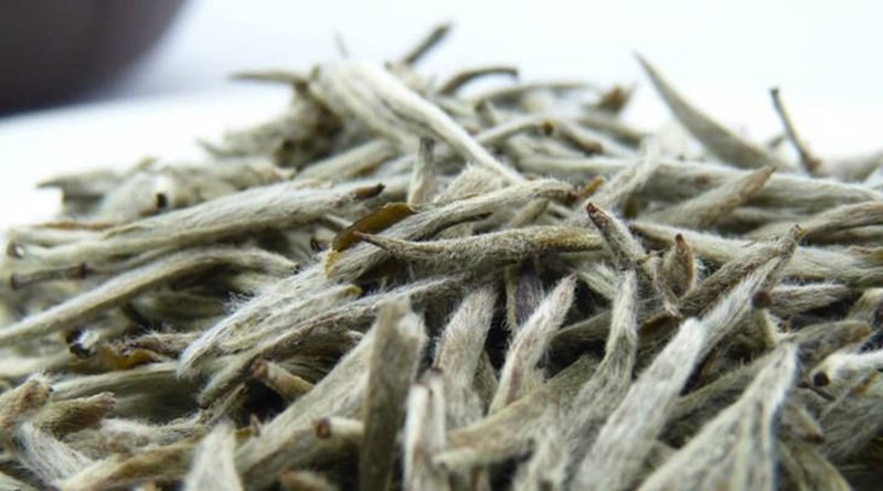 The thin white fuzz (Hao) on the white tea leaves