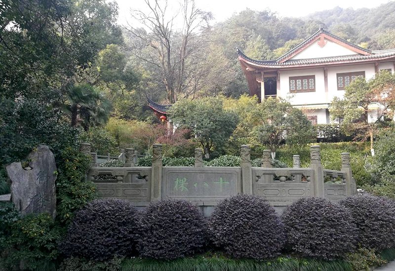 The oldest 18 tea plants have been protected and not for sell anymore