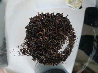 The autumnal flush also has a excellent taste
