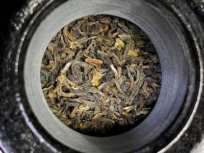 The first flush still green and taste like oolong