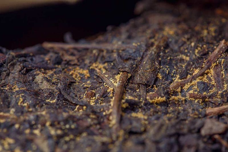 These golden flowers are some kinds of fungus