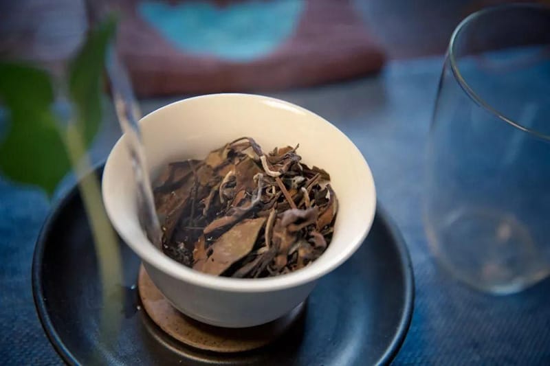 Shoumei looks a big difference from other white teas