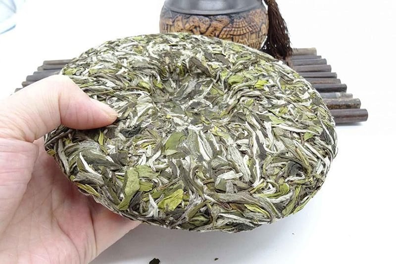 White peony tea cake leaves show a little darker green