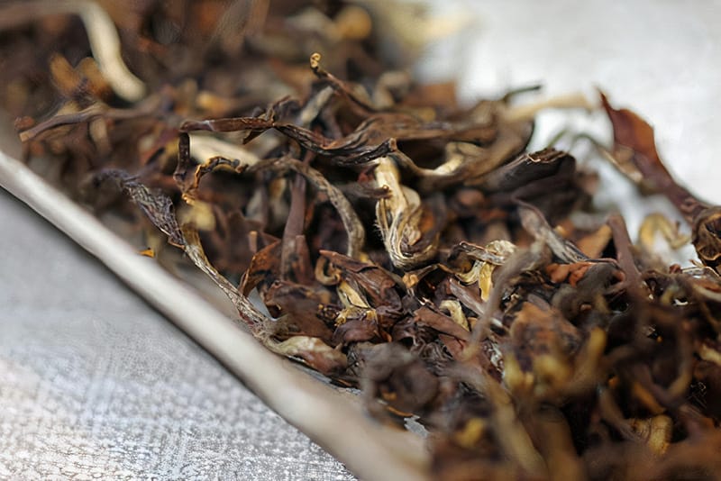 Dongfang Meiren tea also called White-tip Oolong because the buds are cover with white fuzz
