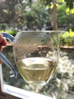 Junshan Yinzhen tea infusion is very light