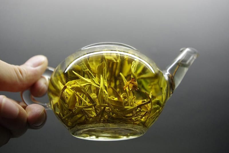 Leaves extend and infusion turns yellow