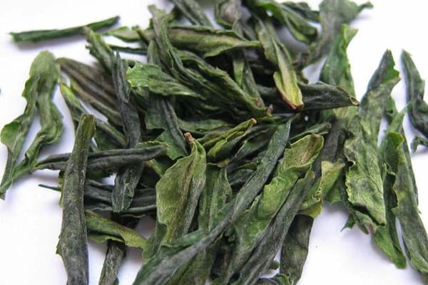 Something frost-like things are on the Lu'an Gua Pian leaves' surface
