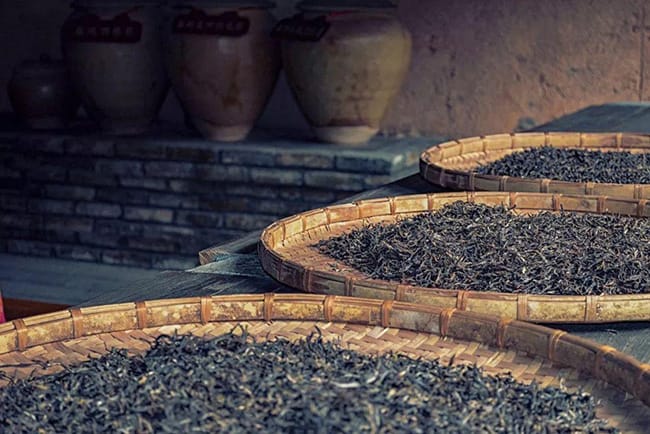 The traditional processing environment of rough tea seems dirty