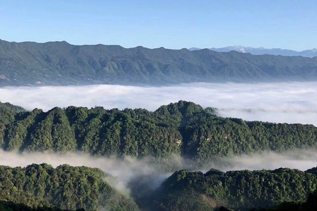 Mengding Mountain is under foggy and cloudy all year round