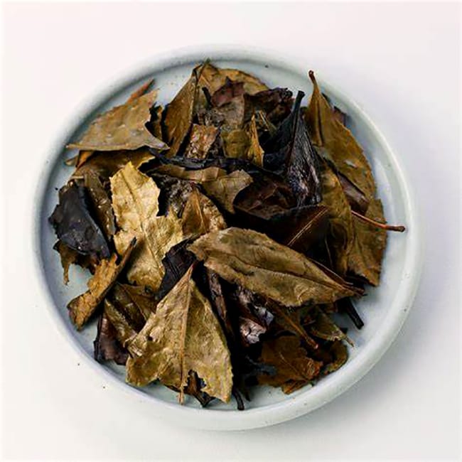 Kyobancha
