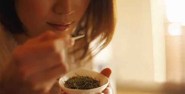 Smell the dried leaves' fragrance first