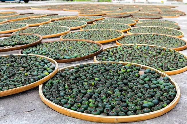 Sun drying process