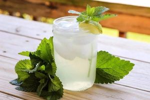 Iced lemon balm tea is awesome for summer